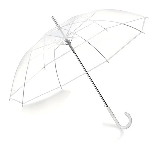 Transparent Bubble Umbrella Windproof Waterproof Clear Dome Rain Umbrella