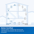Voice control smart plug (CL-113)