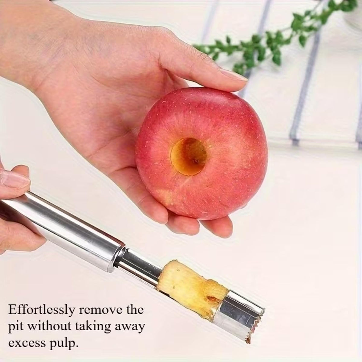 Premium Stainless Steel Apple Corer Remover (CL-111)