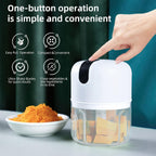 Mini Electric Garlic Chopper (CL-83)