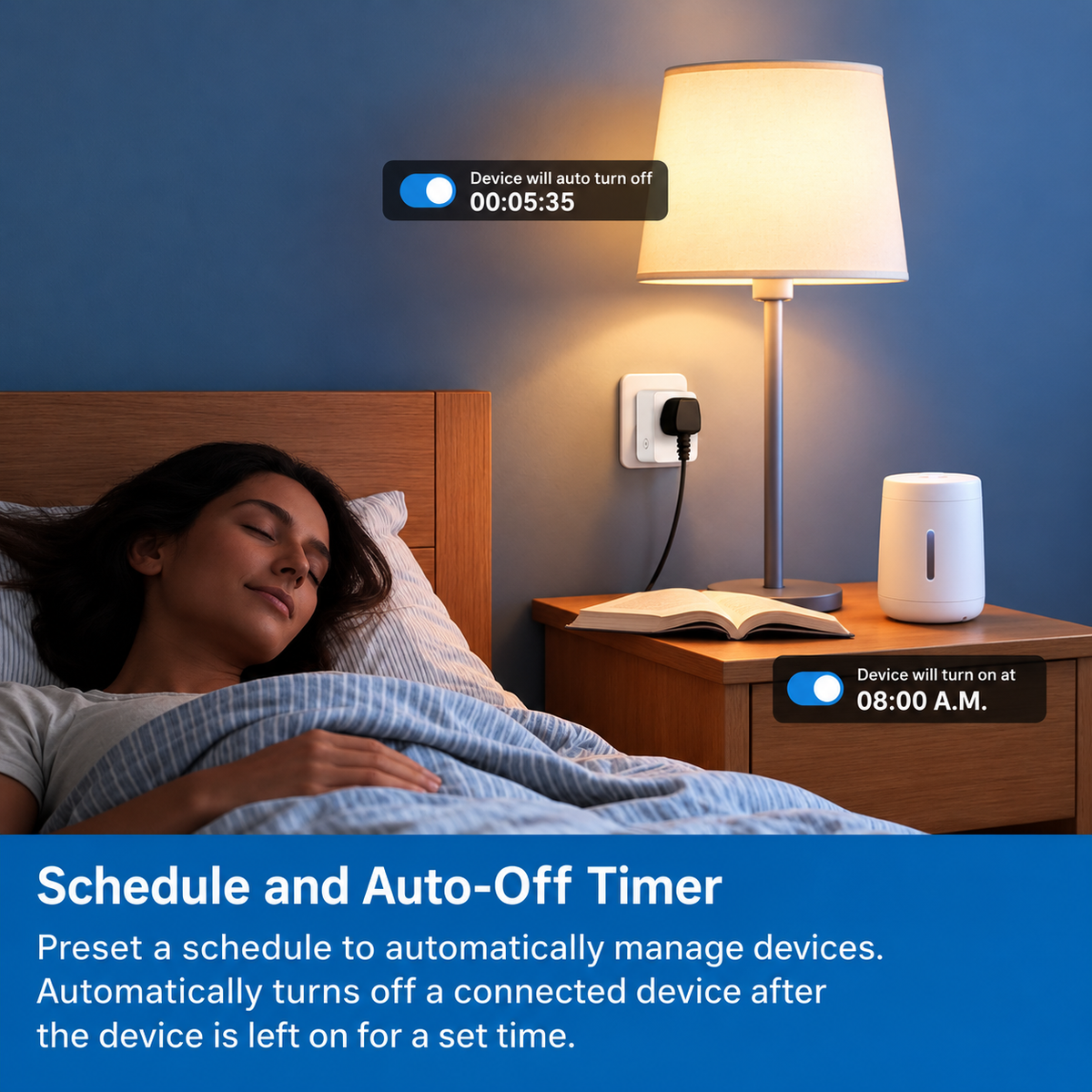 Voice control smart plug (CL-113)