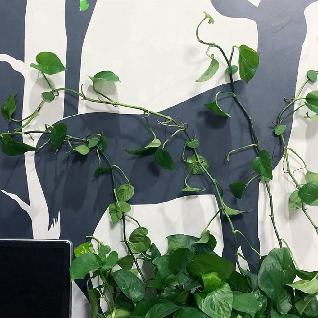 Wall Climbing Clip Plant Leaf Shaped-Pack of 10 (CL-99)