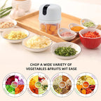 Mini Electric Garlic Chopper (CL-83)