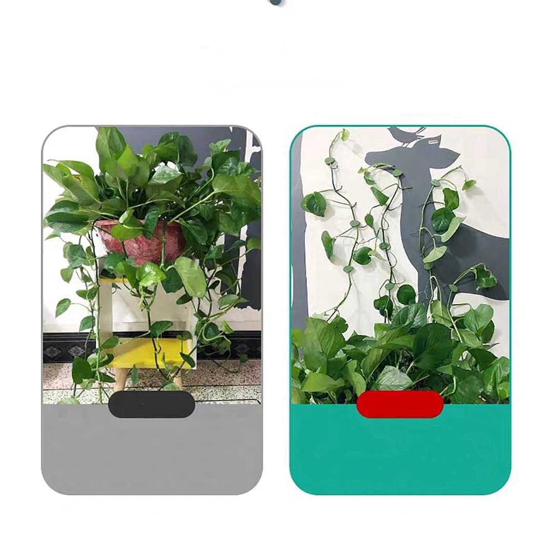 Wall Climbing Clip Plant Leaf Shaped-Pack of 10 (CL-99)